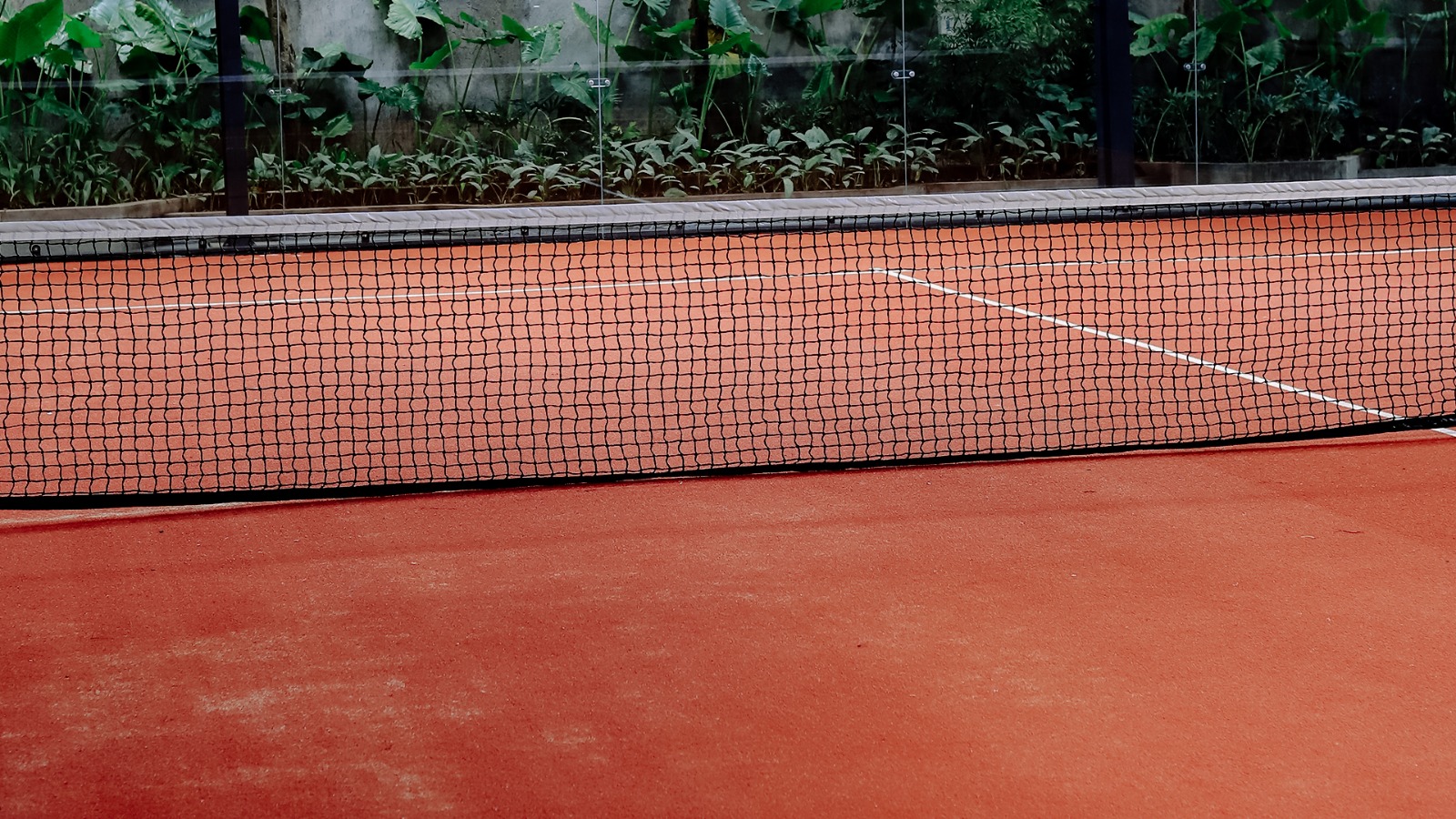 Gallery XTEAM PADEL